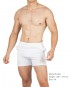 Sweat Shorts - Cotton White [4721B]