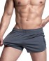 Cardio Quick Dry Shorts - Grey [4329]