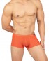 Desire Glaze Trunk - Orange [4619]