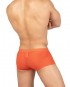 Desire Glaze Trunk - Orange [4619]