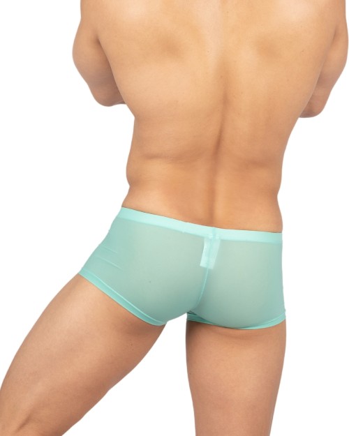 Desire Glaze Trunk - Turquoise [4619]