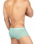 Desire Glaze Trunk - Turquoise [4619]