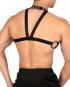 Body Harness 2.5 - Black [4610]