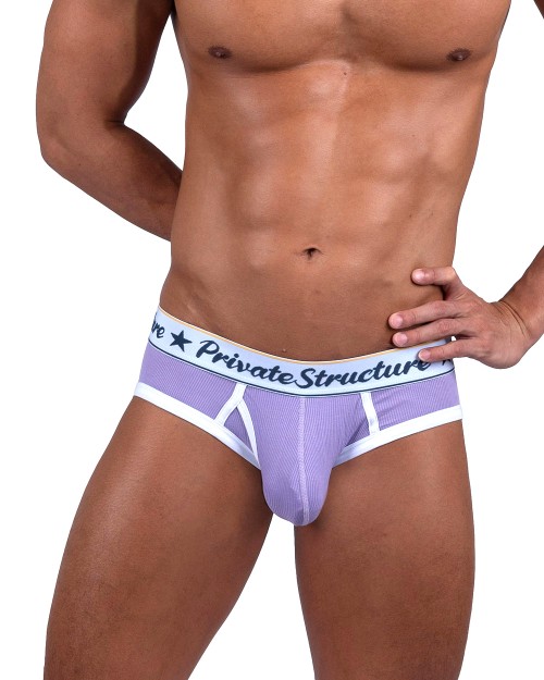 Classic Mini Brief - Viola Purple [4529]